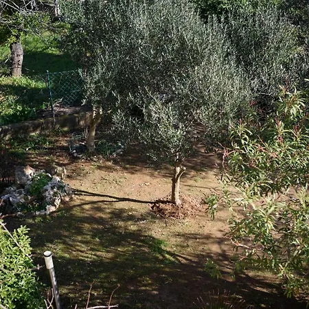 Claudia Apartmán Premantura